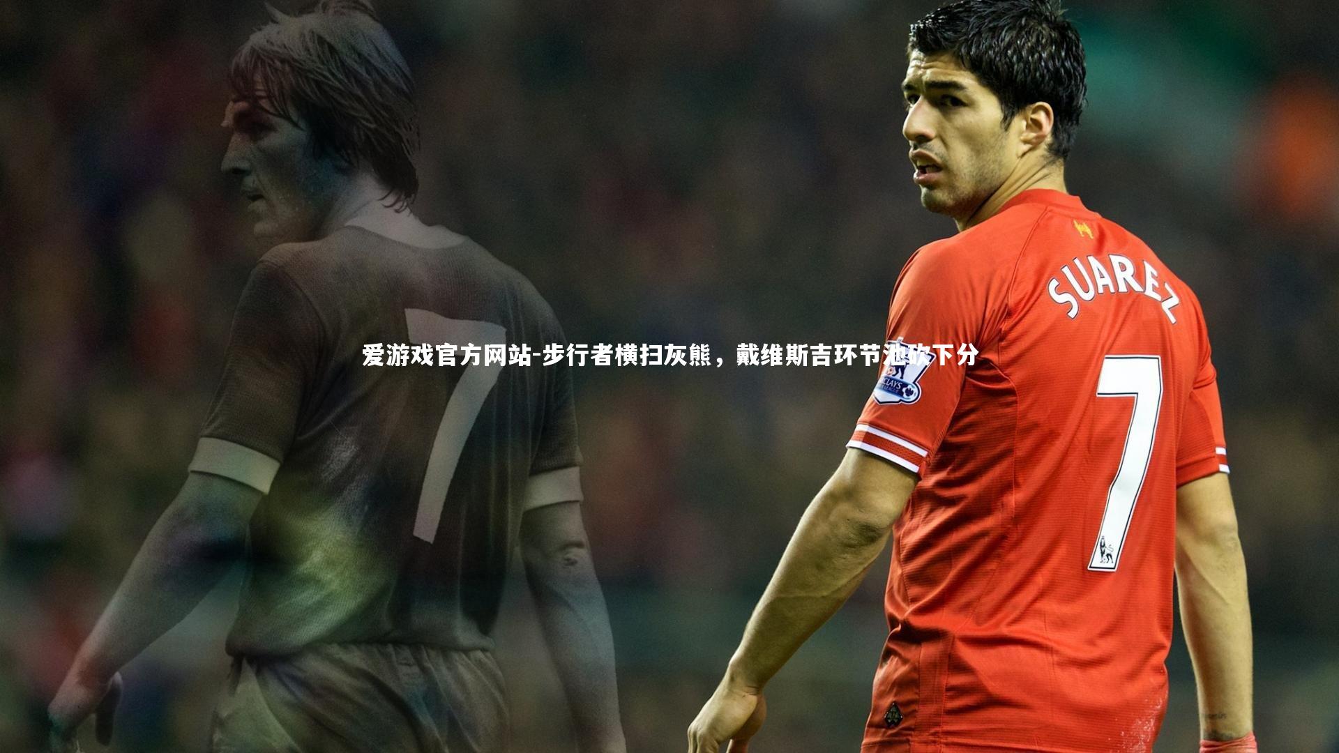 步行者横扫灰熊，戴维斯吉环节池砍下分