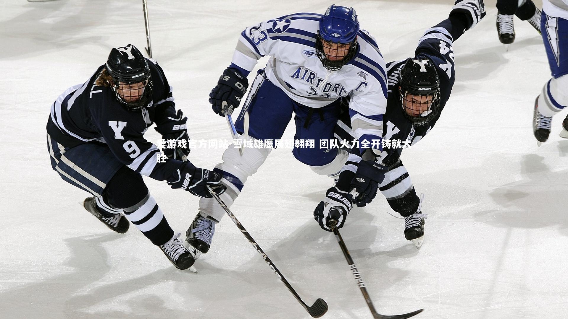 爱游戏官方网站-雪域雄鹰展翅翱翔 团队火力全开铸就大胜