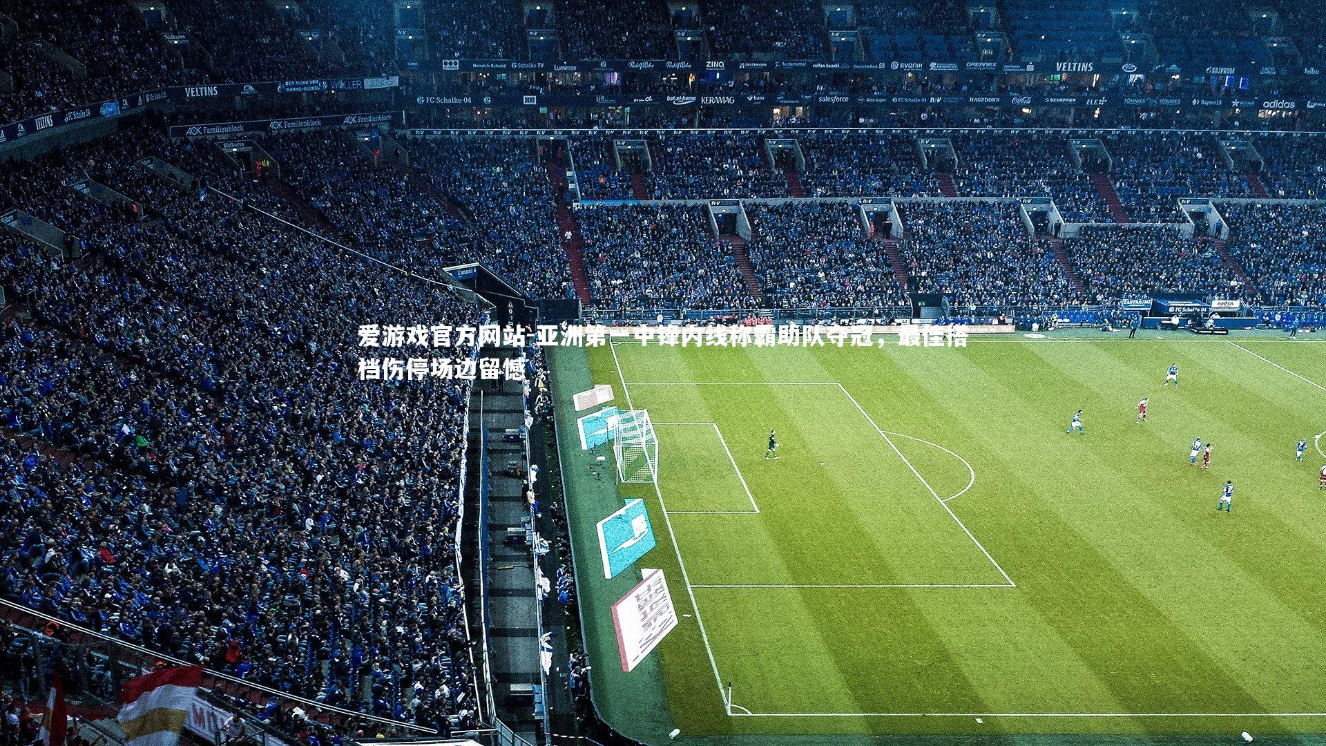 亚洲第一中锋内线称霸助队夺冠,最佳搭档伤停场边留憾